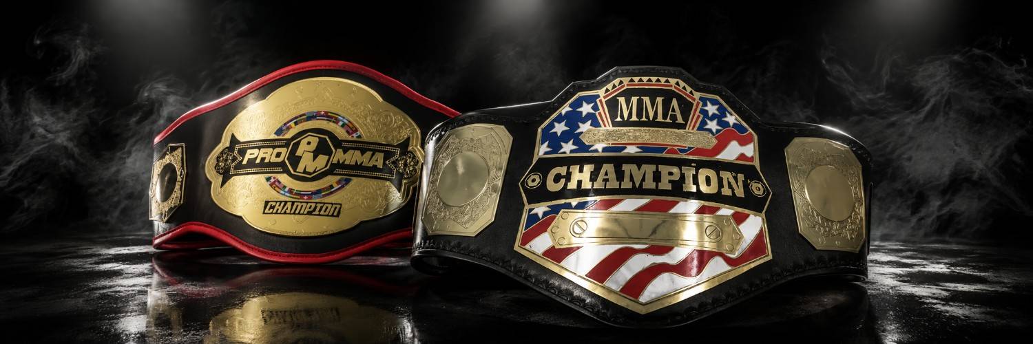 MMA Belts — Championship-Style Replica Collection, 23% Off